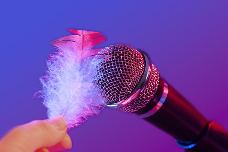 ASMR microphone with feather sound