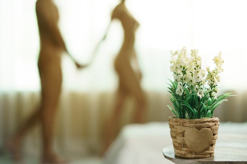 Blurry naked couple standing by window