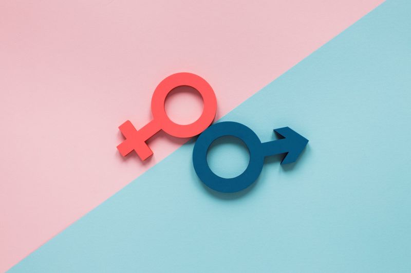 Symboles colorés montrant le concept de droits égaux entre les sexes