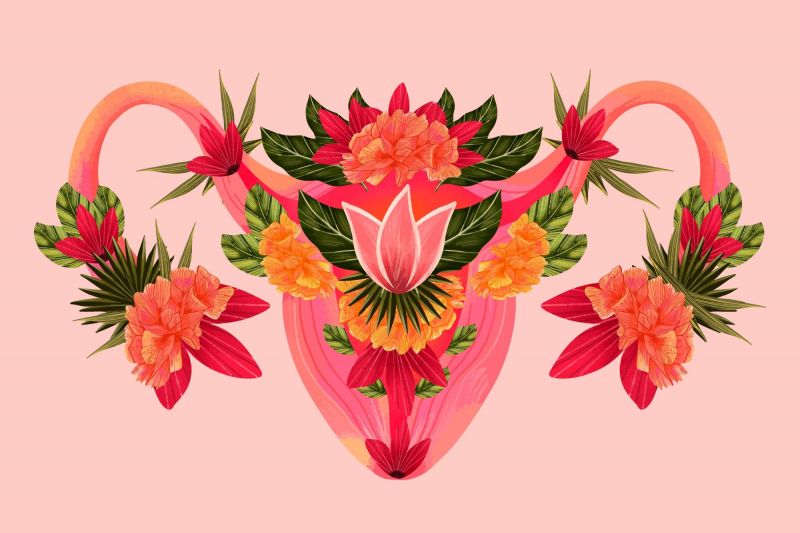 Floral graphic of female reproductive system