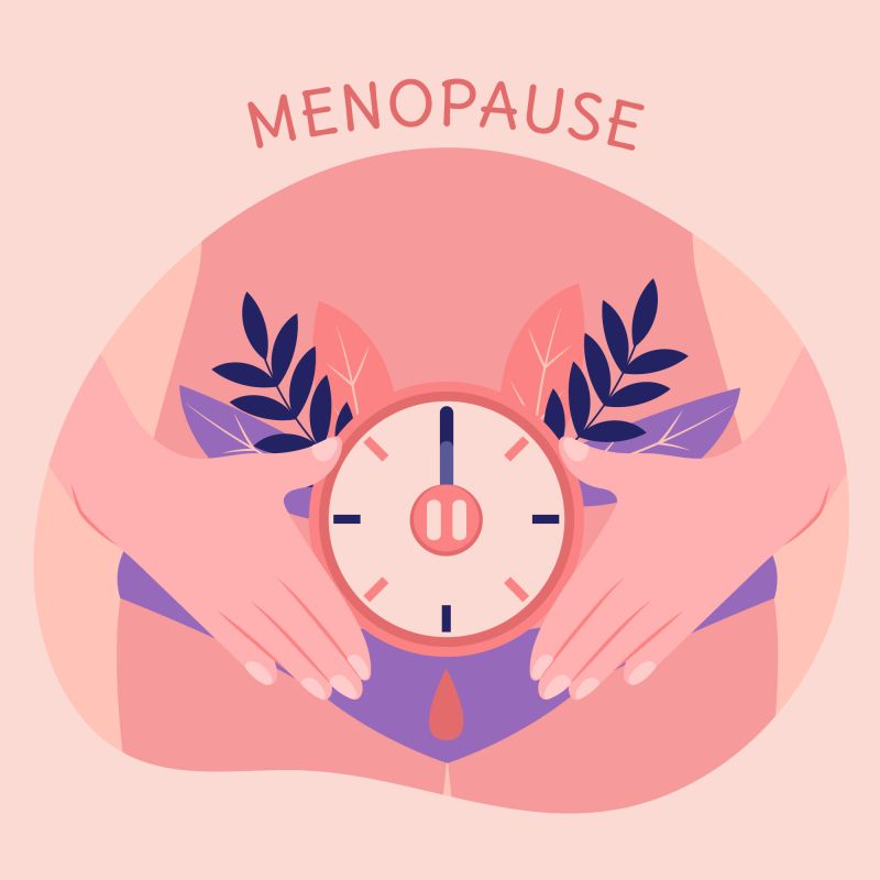 Graphic of female stomach with clock menopause concept