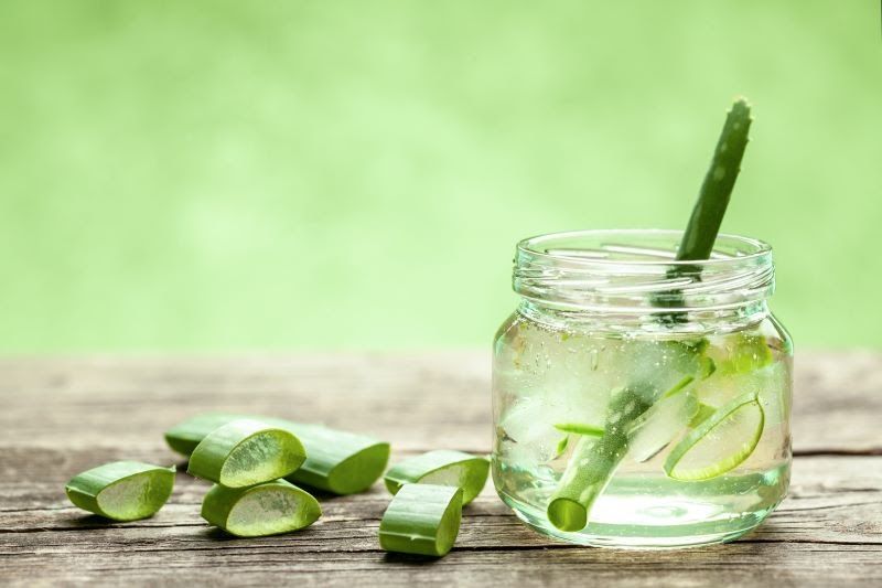 Aloe vera in glass jar next to aloe plant