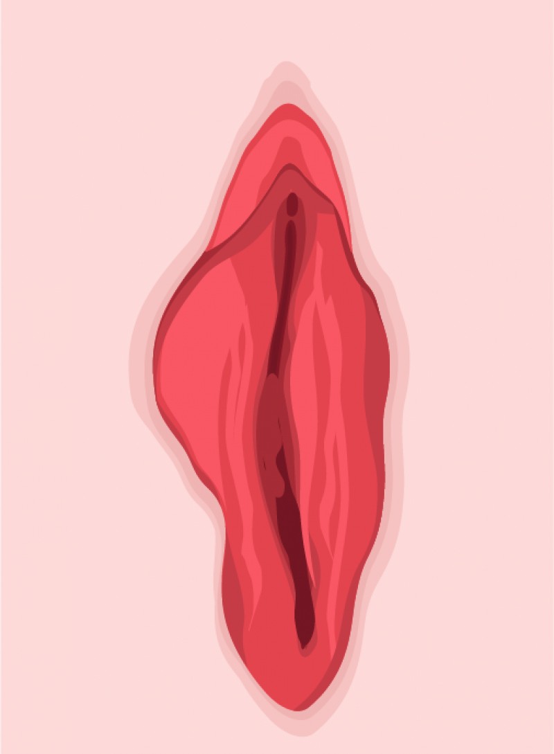 Lèvres intérieures asymétriques