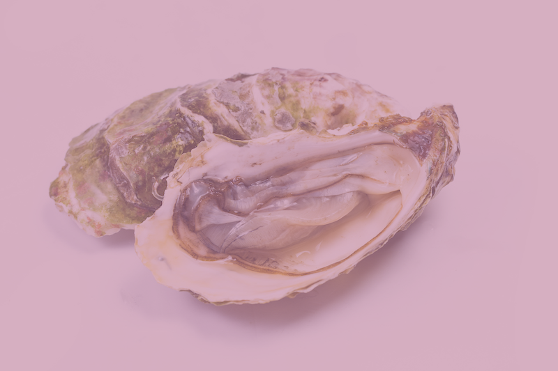 aphrodisiac oyster