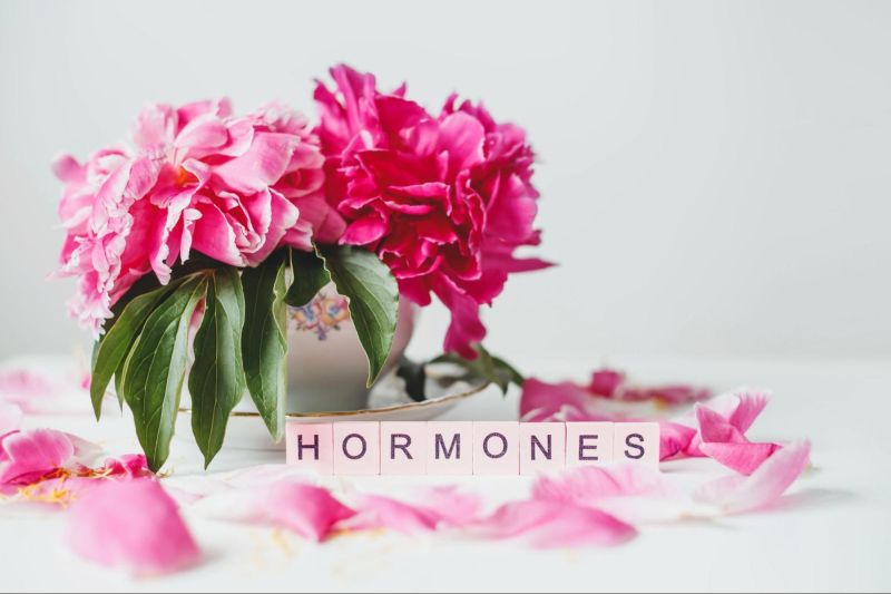 Pink flowers on table with hormones in lettering blocks