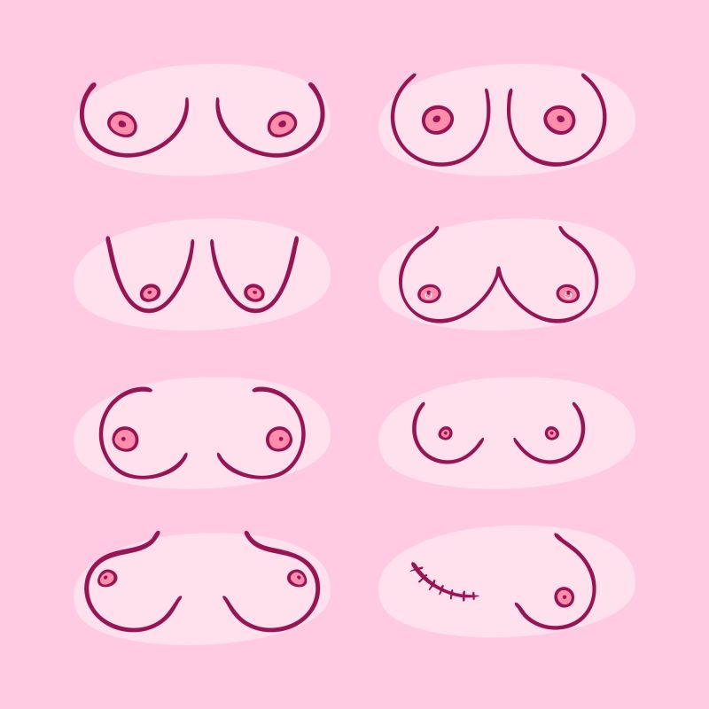 Pink graphic of different shaped breasts
