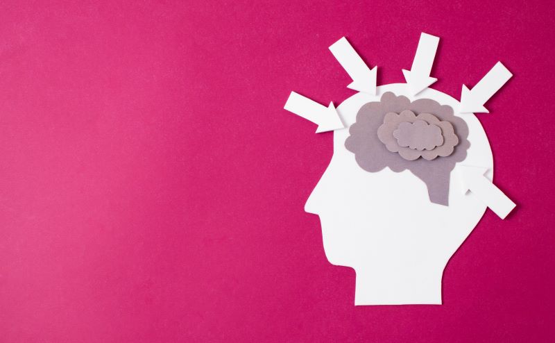 Paper cut out brain on pink background with arrows pointing in