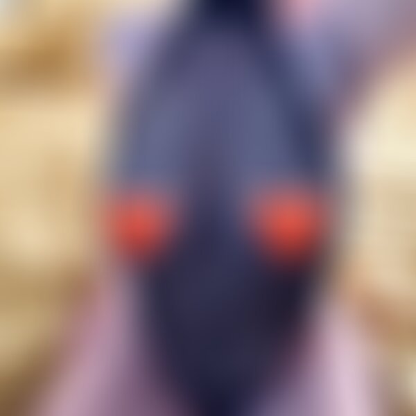 Avatar LillyRayann