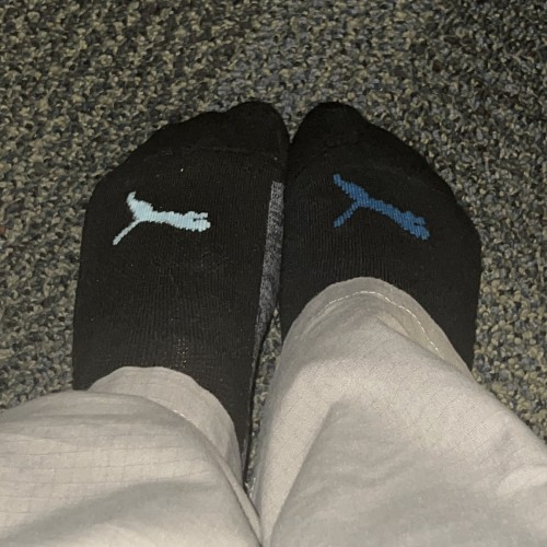 Black puma socks