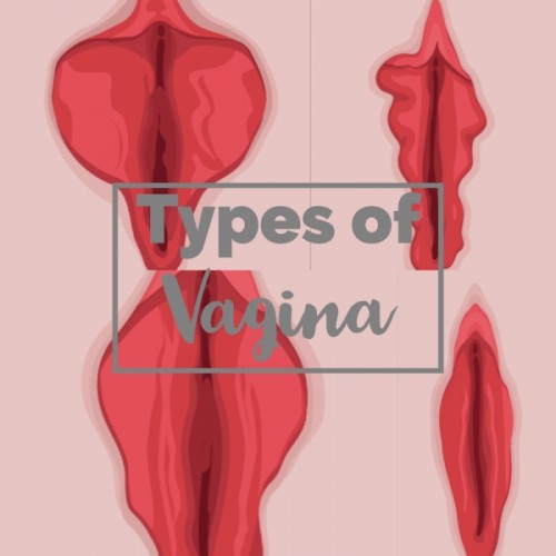Types of Vagina Revealed: Which One is Yours?